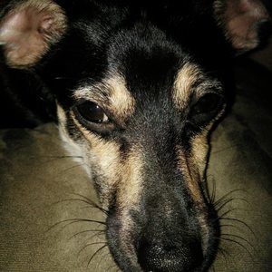 Meet your Posher, Hunter